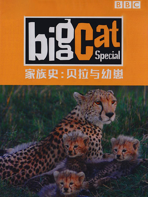 大猫日记家族史:贝拉与幼崽