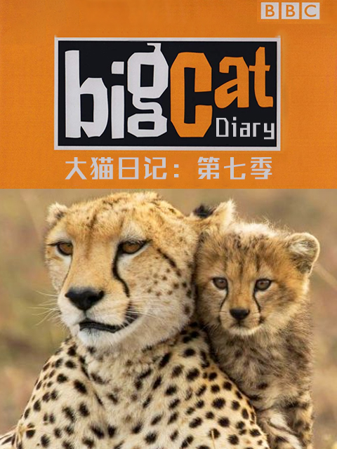 大猫日记第七季
